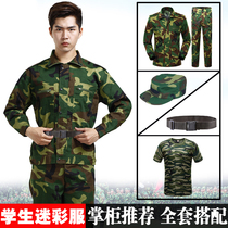 Military training camouflage suit suit male college student military training suit long sleeve jacket women Summer Camp summer camouflage suit