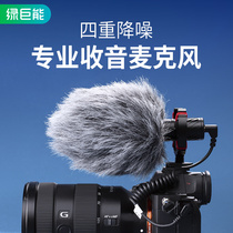 Green giant M1 professional microphone recording computer Radio wheat mobile phone camera live SLR instrument guitar micro single vlog dubbing equipment directional radio condenser microphone noise reduction Bee