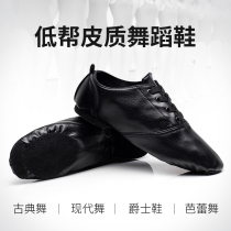 Fan Zesa black Latin jazz shoes womens low-help soft bottom practice national mens ballet folk dance shoes