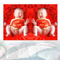 Bird bird baby poster twin male doll picture baby pictorial wall sticker wedding room baby painting pregnant 01