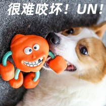 Dog toys resistant to bite teeth grinding sticks than bear Koji trumpet Teddy small dog pistachio series self-relief ball