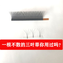Grafted eyelashes Clover mixed 3D one second flowering camellia super soft mink hair natural thick eyelashes