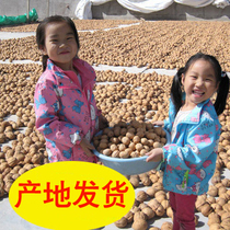 2021 New Xinjiang Aksu Wen 185 paper walnut raw thin skin thin shell hand peeling original taste 5kg pregnant women