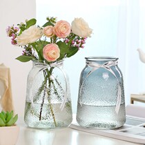 Light luxury ins simple glass vase water fresh flowers lily flower arrangement flower flower arrangement Net red living room decoration Vase ornaments