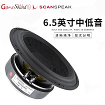 Danish Sensen Treasure Scan-Speak 18W 8545K00 6 5 inch bass horn fever audio