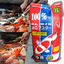 Colored koi carp food color-enhancing special fish food bred into spirulina floating granular goldfish feed General