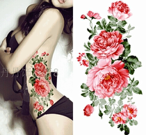Free mail stickers Female waterproof tattoo peony waist stickers Arm stickers Painted tattoos Korean stickers Shoot two get one free