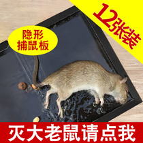Mouse artifact rat paste strong sticky mouse board strong adhesive big mouse catch rat rodent control rat rat a nest end
