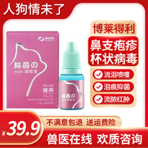 Braidley cat nasal branch eye drops tears sneezing cat special cup-shaped nasal branch corneal net eye drops