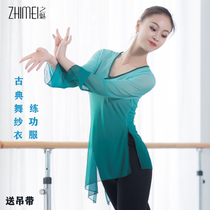2020 Classical dance practice suit Trumpet sleeve gradient art examination performance suit female National dance body rhyme dance yarn dress female