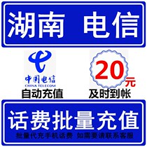 Hunan Telecom 20 yuan Call Fee Fast Recharge Seconds Professional Batch Recharge to Charge National Large Mobile Phone Payment