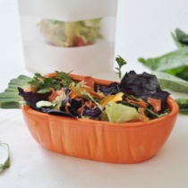0 Burden of Vegetable Salad Rabbit Dry Vegetables Healthy Nutrition Snacks Hamster Chinchillo Dutch Pig