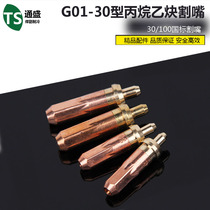 Type 30 oxygen cutting country Peugen Labeled Acetylene Propane Cut gas Artisanal Cuts g01-30-100-300 Plum Plum Cutting Torch