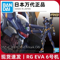 Spot Bandai RG EVA No 6 Machine No 6 Nagisa Kaoru Neon Genesis Evangelion assembly model