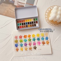 Korea SHINHAN professional grade transparent watercolor pigment College grade packaging professional nail watercolor