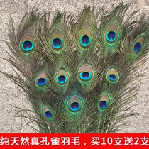 Natural true peacock feather tail big eyes living room ornaments vase flower arrangement diy accessories Peacock hair