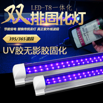 LED violet lamp UV glue shadowless glue curing lamp curing fluorescence detection model display 395 365