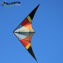 Hong Kong Junlong Double Line Stunt Kite 2 5 m Lei Wing 3 All Carbon Rod P40 Cloth Sound Big Pull Strong Wind