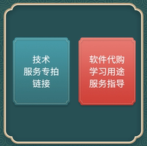 Technical service fee Special shot link package Remote installation