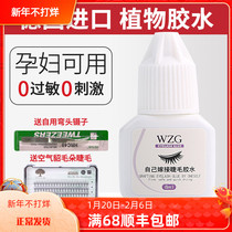 Beginners grafted false eyelash glue quick-drying lasting and firm open eyes pregnant women can be anti-allergy tasteless and non-irritating