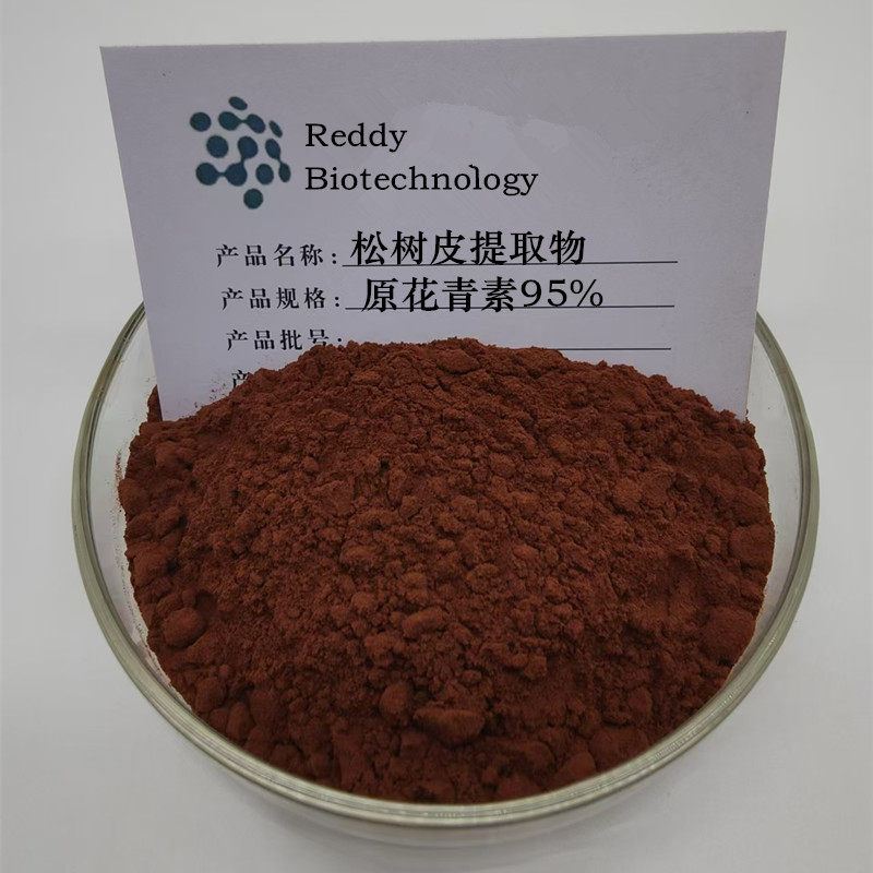 松树皮提取物-松树皮提取物促销价格 松树皮提取物品牌- 淘宝