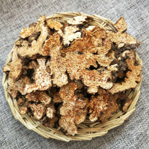 Anguo Chinese herbal medicine market batch Inner Mongolia fried Atractylodes Atractylodes Atractylodes 1000 grams