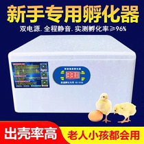 Water bed incubator incubator incubator household type automatic small mini water bed incubator Smart Chicken