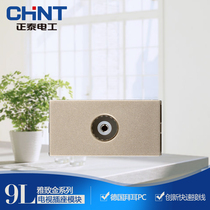 Chint 120 type 9L wall switch socket function key TV socket switch combination module
