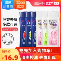 Qingyang shampoo for men and women anti-dandruff anti-itching shampoo Refreshing oil control Cherry Blossom Fragrance shampoo 175g