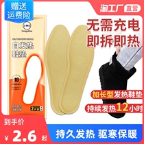 Hot insole female 12-hour heating insole self-heating non-charging can walk male winter warm foot pad warm foot pad