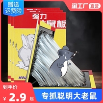 Super strong sticky mouse board catch sticky big mouse paste glue drive glue to kill mouse catch star thickening home a nest end