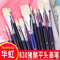 Hua Hong Oil Painting Pen Chalk Pen Acrylic Brush Bristle Flat Head Round Head Brush Pen Pen Single Art Student Training Brush Set HwaHong830 Imported from Korea