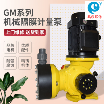 GM electro-mechanical diaphragm metering pump Corrosion-resistant acid and alkali dosing chemical pump Sewage treatment PAC PAM