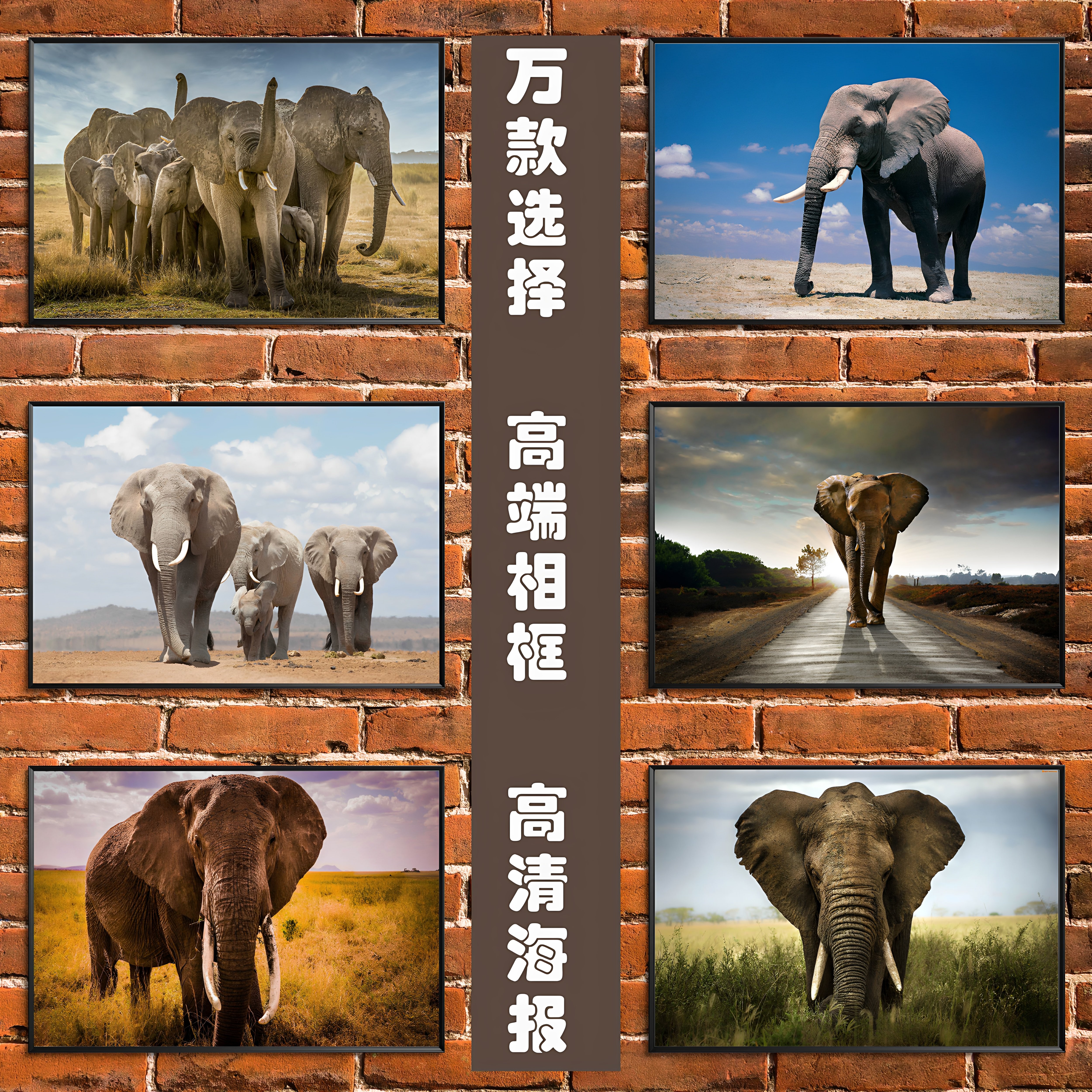 大象壁画挂画-大象壁画挂画促销价格、大象壁画挂画品牌- 淘宝