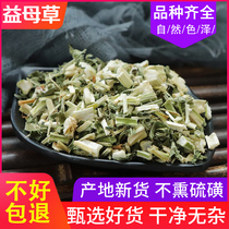 (Zhen Shan Yuan) does not smoke sulfur motherwort beauty grass lamp wide 500g motherwort