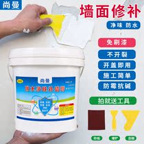 Tonic wall paste waterproof moisture-proof and anti-return alkali wall repairing wall anti-alkali white repair agent large area putty