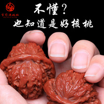Wenwen walnut four-building white lion head walnut official hat apple orchard lion head walnut hand play extra-large collection level