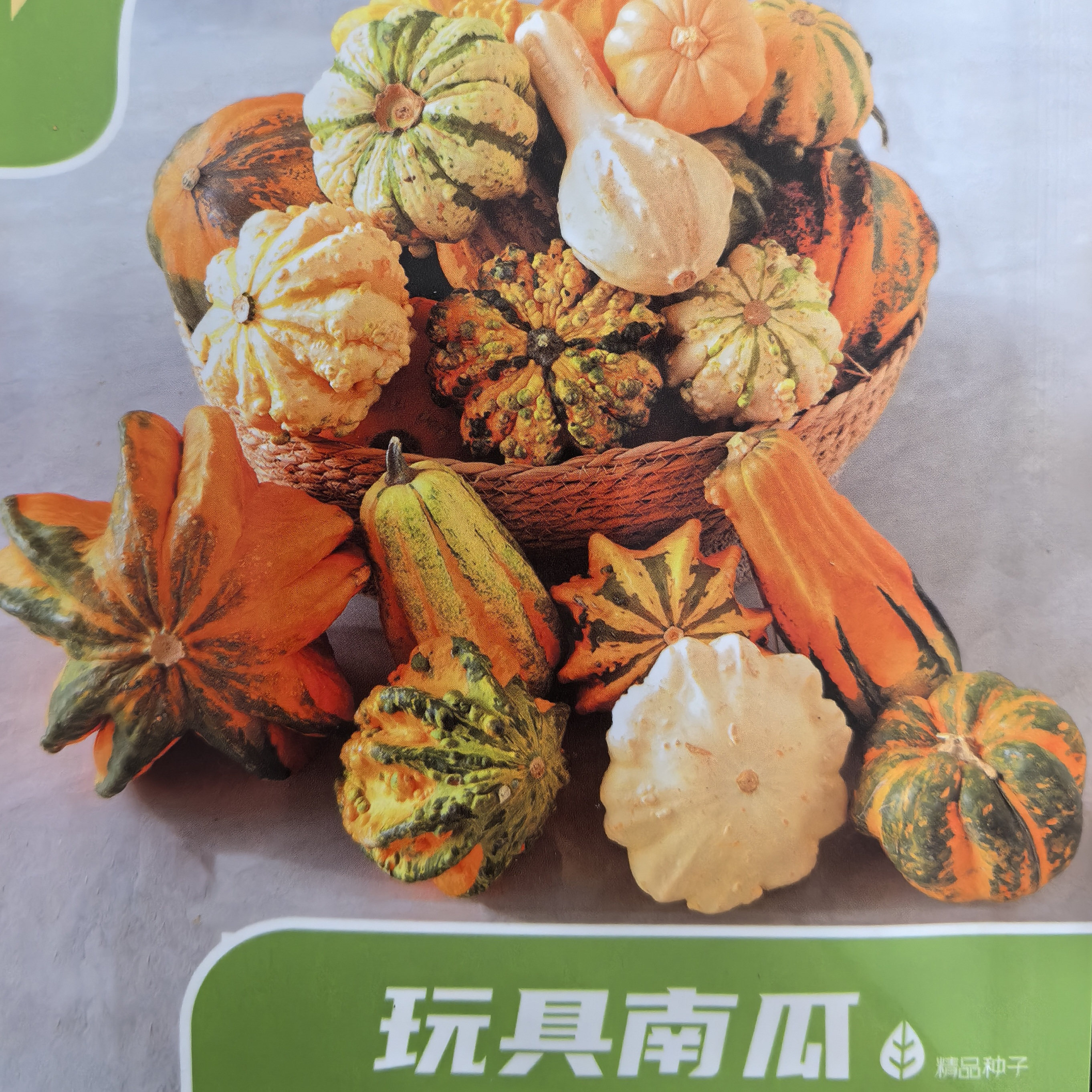 墨西哥葫芦南瓜七彩疙瘩文玩花材摆盘-墨西哥葫芦南瓜七彩疙瘩文玩花材