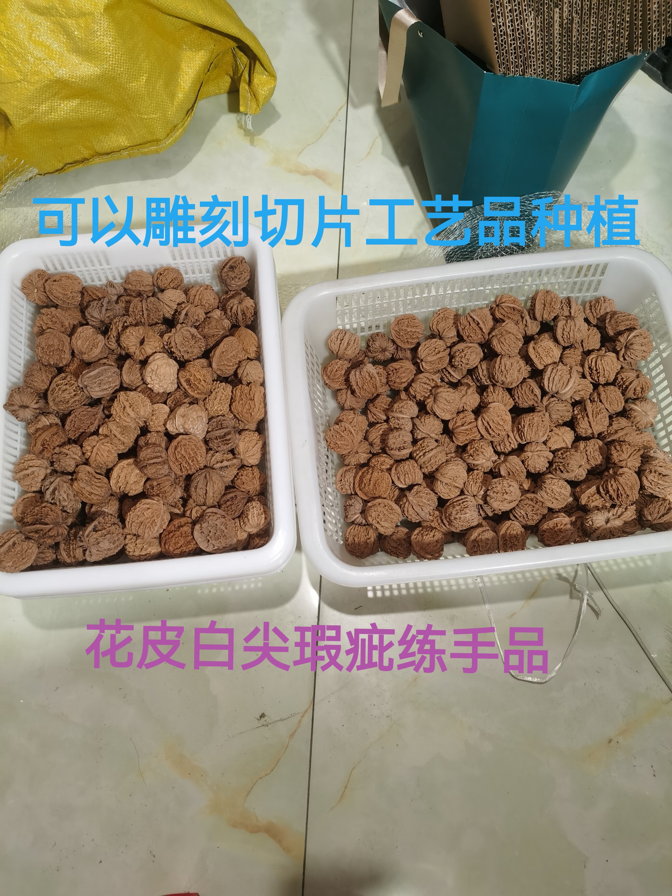 老树文玩核桃-老树文玩核桃促销价格、老树文玩核桃品牌- 淘宝