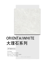 Nobel Tile RT909103 Glazed Tile Grey Tile New Chinese Style Modern Simplicity