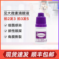 Xinghui sees big microelement pet eye drops dog cat eye droppings tears conjunctivitis anti-inflammatory eye drops to tear marks