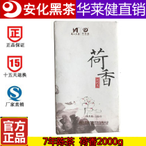 Hunan Hualai black tea Hualaijian Anhua black tea lotus tea Lotus brick tea 2KG golden flower brick