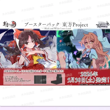 东方Project透明文件夹，一套10个（全新未使用） WS东方Project卡套-WS东方Project卡套促销价格、WS东方Project卡套品牌