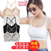 Cotton underwear womens non-rimmed gathered one-piece bra High school girl beauty back wrapped chest bandeau student sports vest