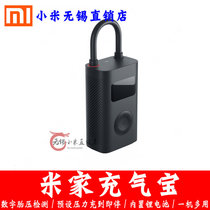 Spot Xiaomi Mijia Inflatable Baby Xiaomi Portable Electric Air Inflator Car Bicycle Motorcycle Tire Pressure Test