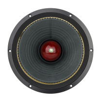 West Sub Horn Flowers 10-inch cobalt Magnetic Full-frequency ALNICO FULL RANGE SPEAKER