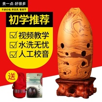 Xun Beginner instrument Ten-hole pen holder Xun Adult professional performance Rock pattern Tao Xun National instrument 10-hole ancient Xun