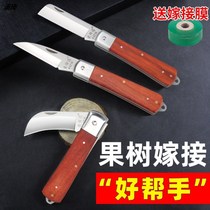 Forged steel Steel old-fashioned front steel grafting knife fruit tree seedling brick multi-functional non-injured branch fruit tree grafting