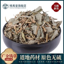 Money grass 500g g big leaf wide money grass can be used with corn whisker chicken inner gold dissolved stone tea