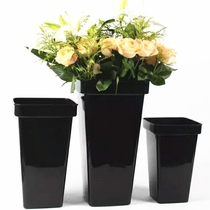 Wake up big flowers Plastic creative Home Dry Comeback Small Dry Flowers Buckets Exclusive Store Boutique Boutique Boutique